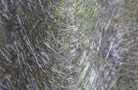 Leafield fibreglass roof work